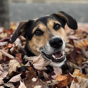 Meet your Posher, Lindsay